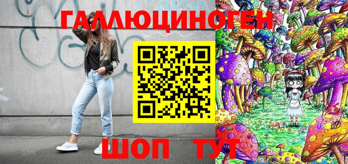 Псилоцибиновые грибы Cubensis Осинники
