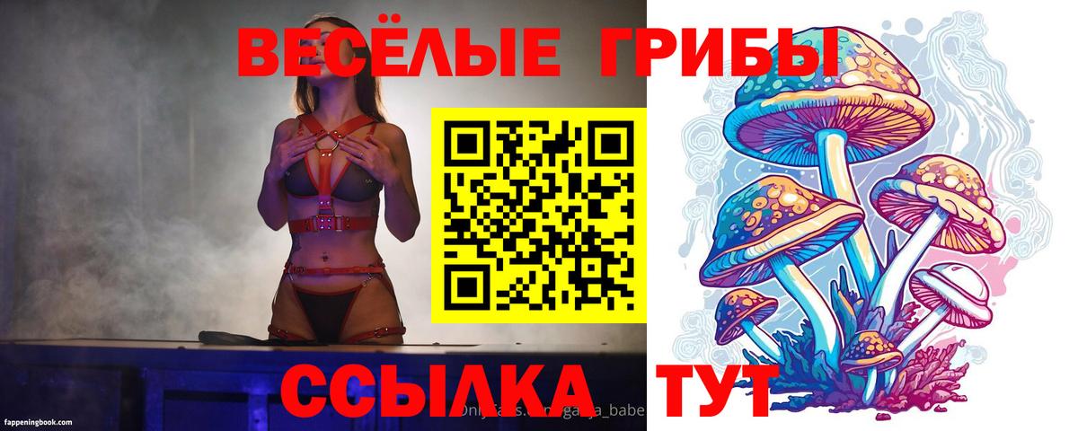 Галлюциногенные грибы прущие грибы  продажа наркотиков  Осинники  Вход с VPN  Галлюциногенные грибы мицелий 
